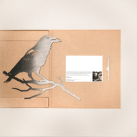 Crow