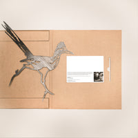 Road Runner