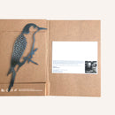 Woodpecker