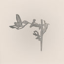 Hummingbird