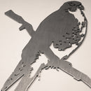 Peregrine Falcon