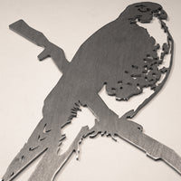 Peregrine Falcon
