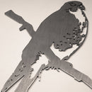 Peregrine Falcon