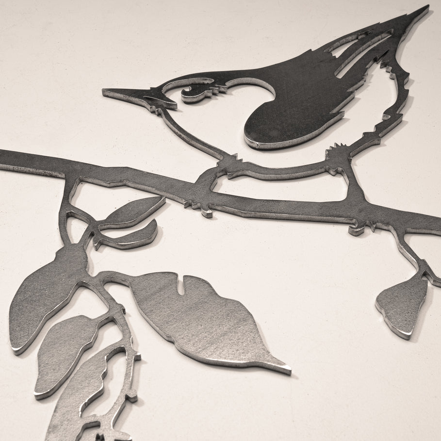 Nuthatch