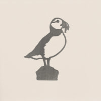 Puffin