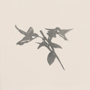 Hummingbird Honeys