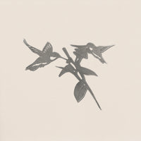 Hummingbird Honeys