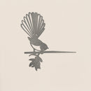 Fantail (The New Zealand Piwakawaka)