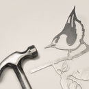 Nuthatch