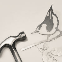 Nuthatch