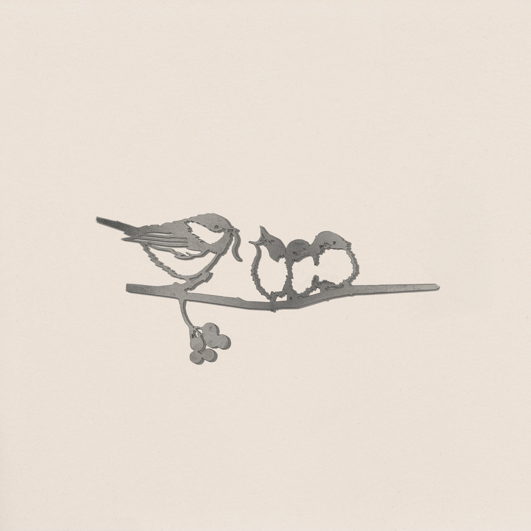Chickadee & Chicks