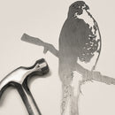 Peregrine Falcon