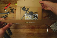 Fantail (The New Zealand Piwakawaka)