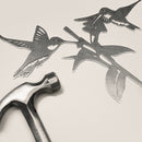 Hummingbird Honeys