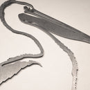 Pelican