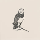 Barn Owl: A black and white ink illustration of a Barn Owl perched on a thin branch, facing forward with detailed wing and face markings, set against a plain light background.