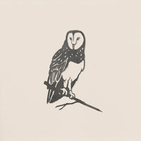 Barn Owl: A black and white ink illustration of a Barn Owl perched on a thin branch, facing forward with detailed wing and face markings, set against a plain light background.