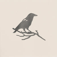 Crow