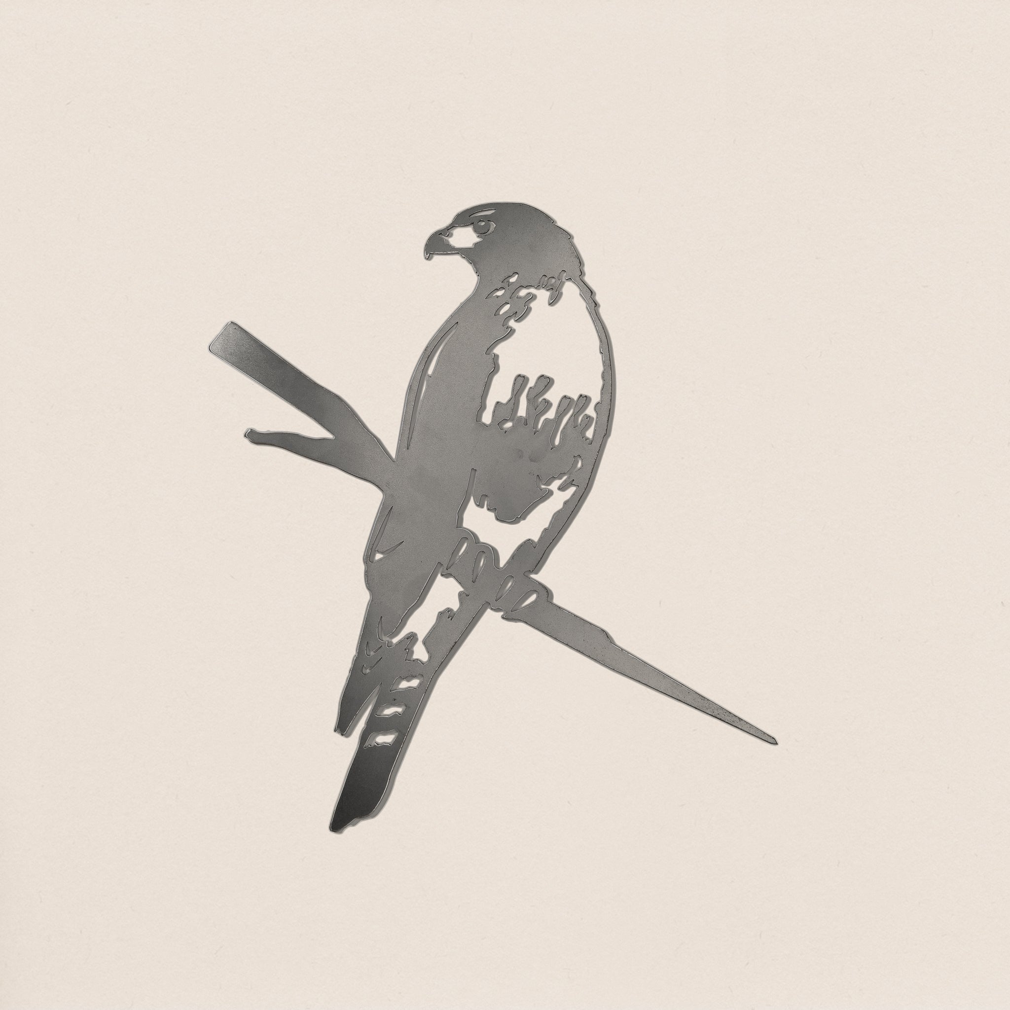 Red-Tailed Hawk | Metalbird USA