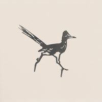 Road Runner