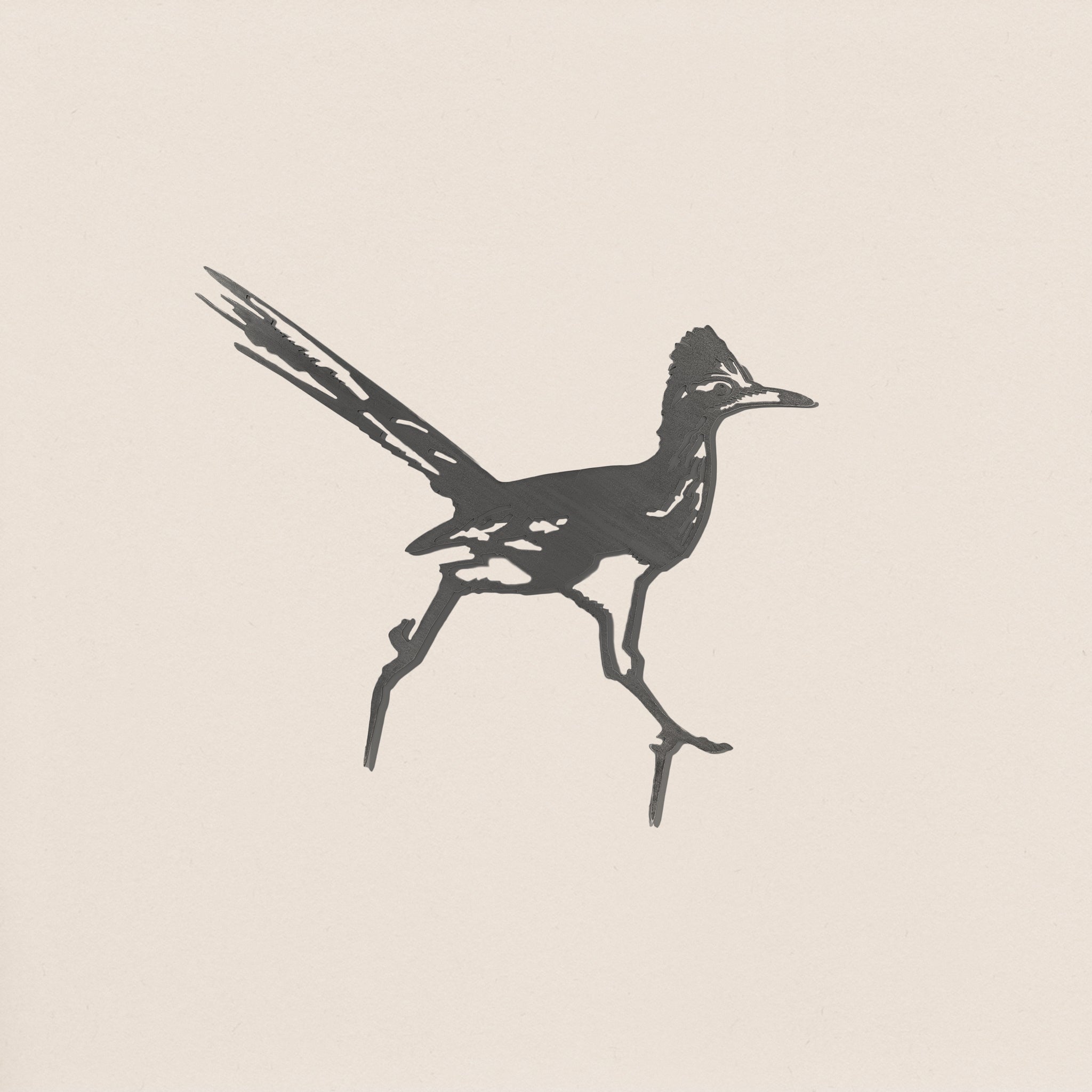 Road Runner