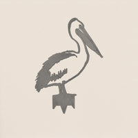 Pelican