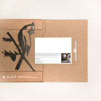 Cardinal bird silhouette in Corten steel with eco-friendly box and message card, a heartfelt and sustainable gift for nature lovers.