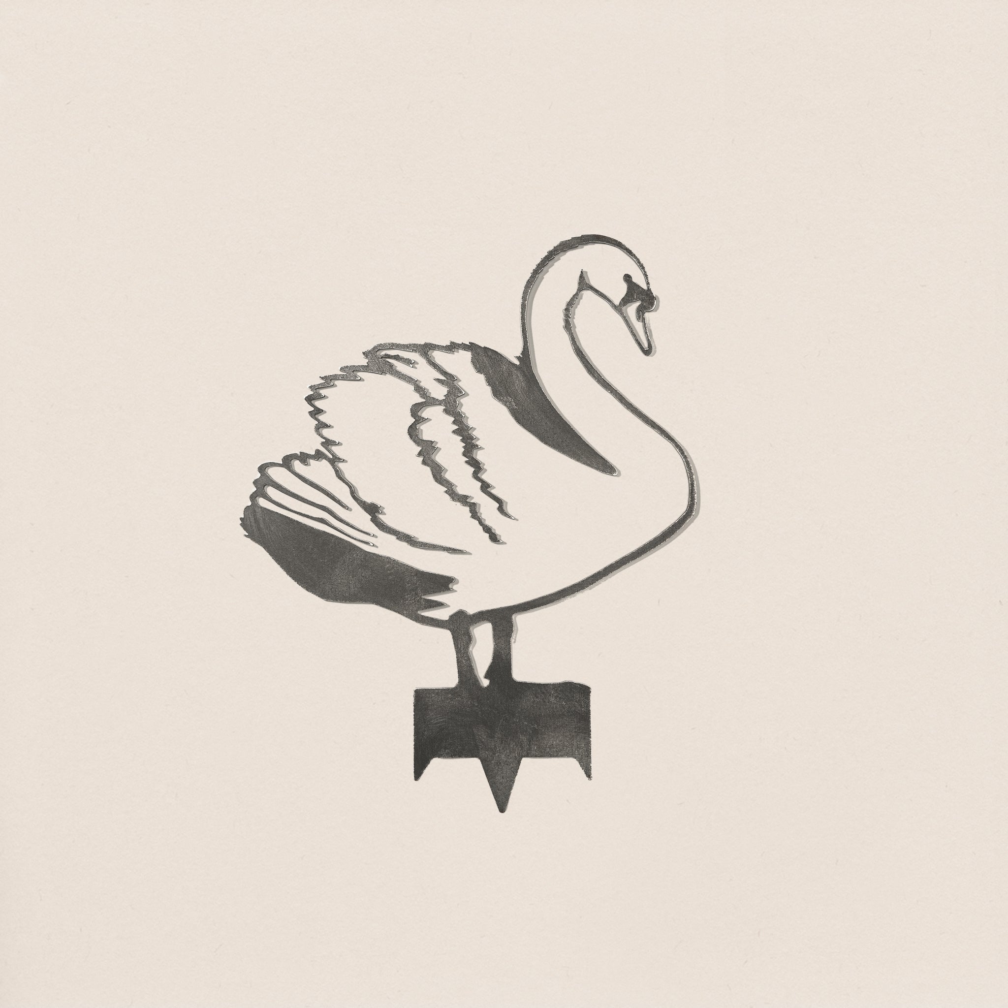 Swan