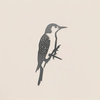 Woodpecker