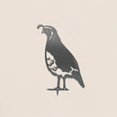 California Quail