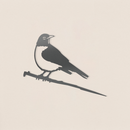 American Robin
