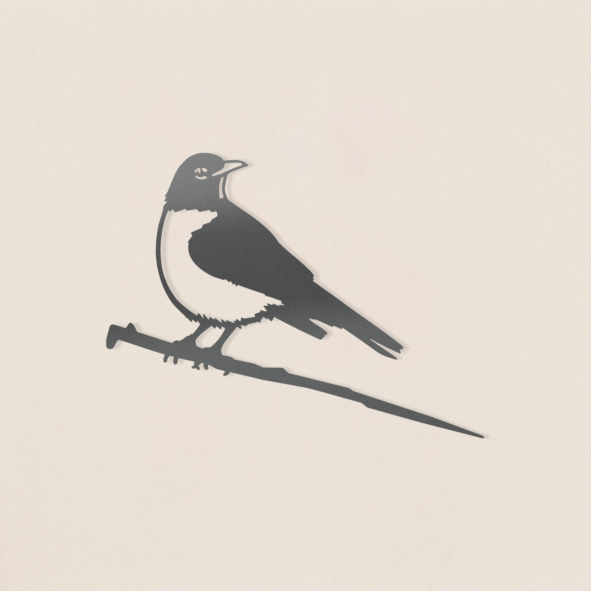American Robin