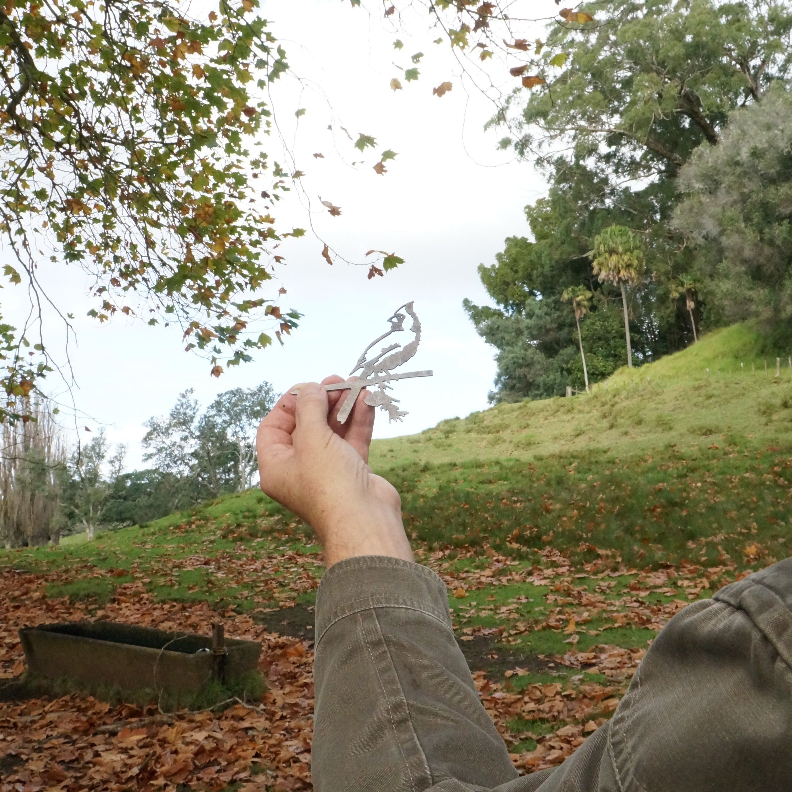 A person holds a Mini Cardinal paper bird silhouette against the backdrop of a grassy park filled with trees and scattered autumn leaves.