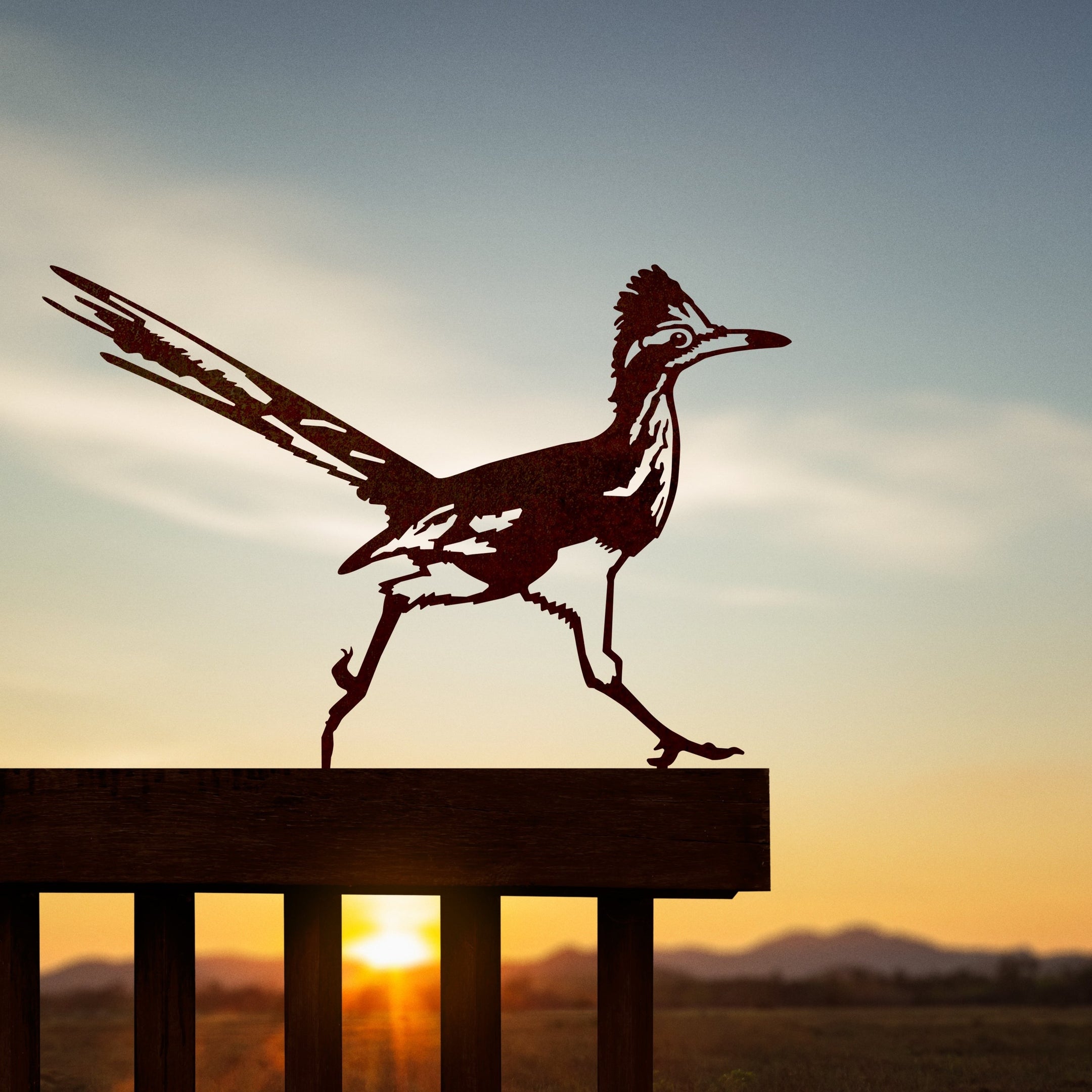 Metalbird Seconds - Road Runner