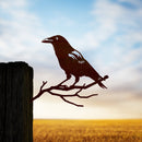 Crow - Metalbird USA