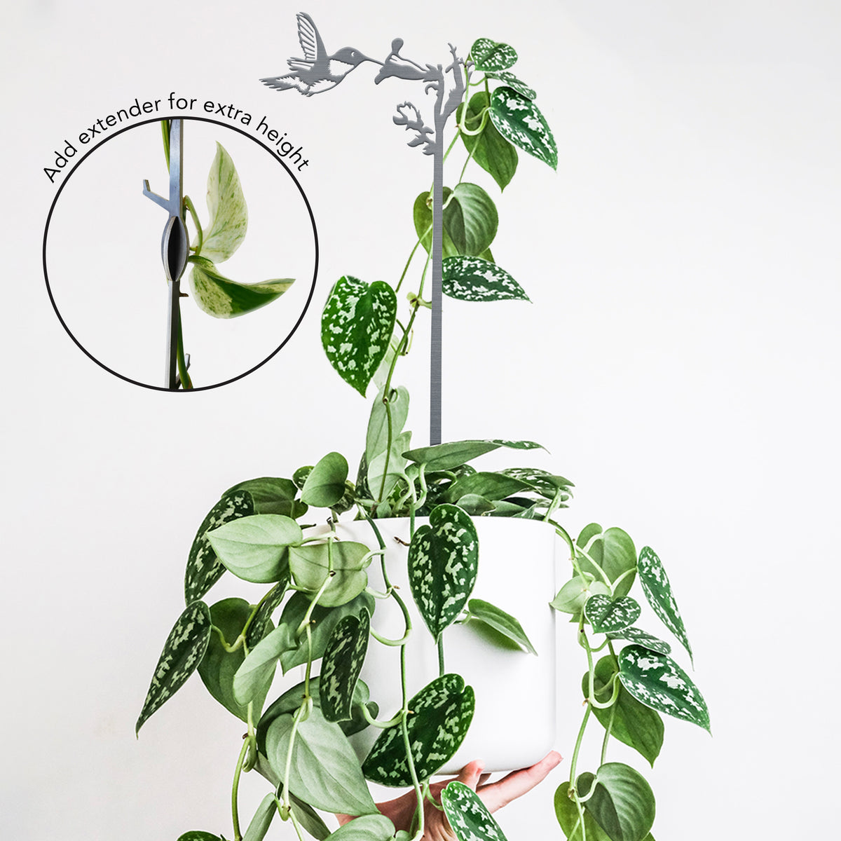 Assembled Hummingbird Plant Stake supporting a plant, with an extension-detail inset.