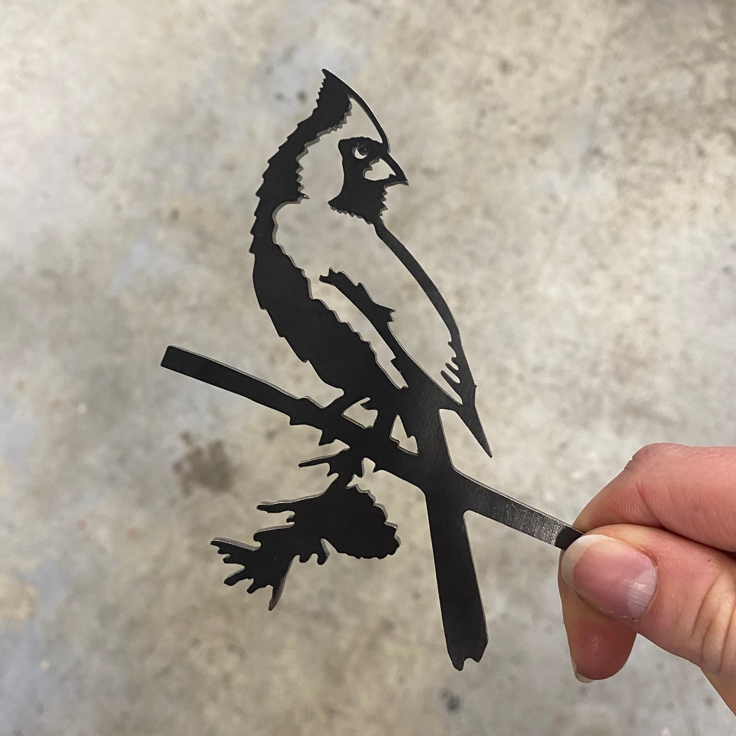 Mini Cardinal