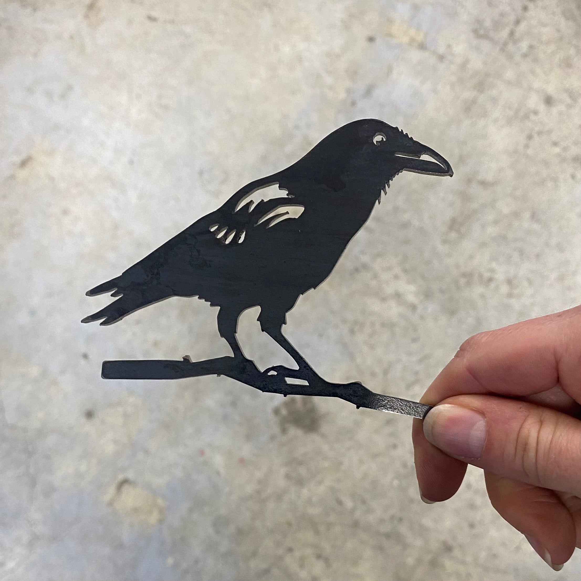 Mini Crow