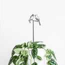 A potted plant with green leaves and white spots is topped with the Kissing Cardinals Plant Stake - 25", a thin Corten steel stake featuring kissing cardinal silhouettes on a branch, set against a plain white background.