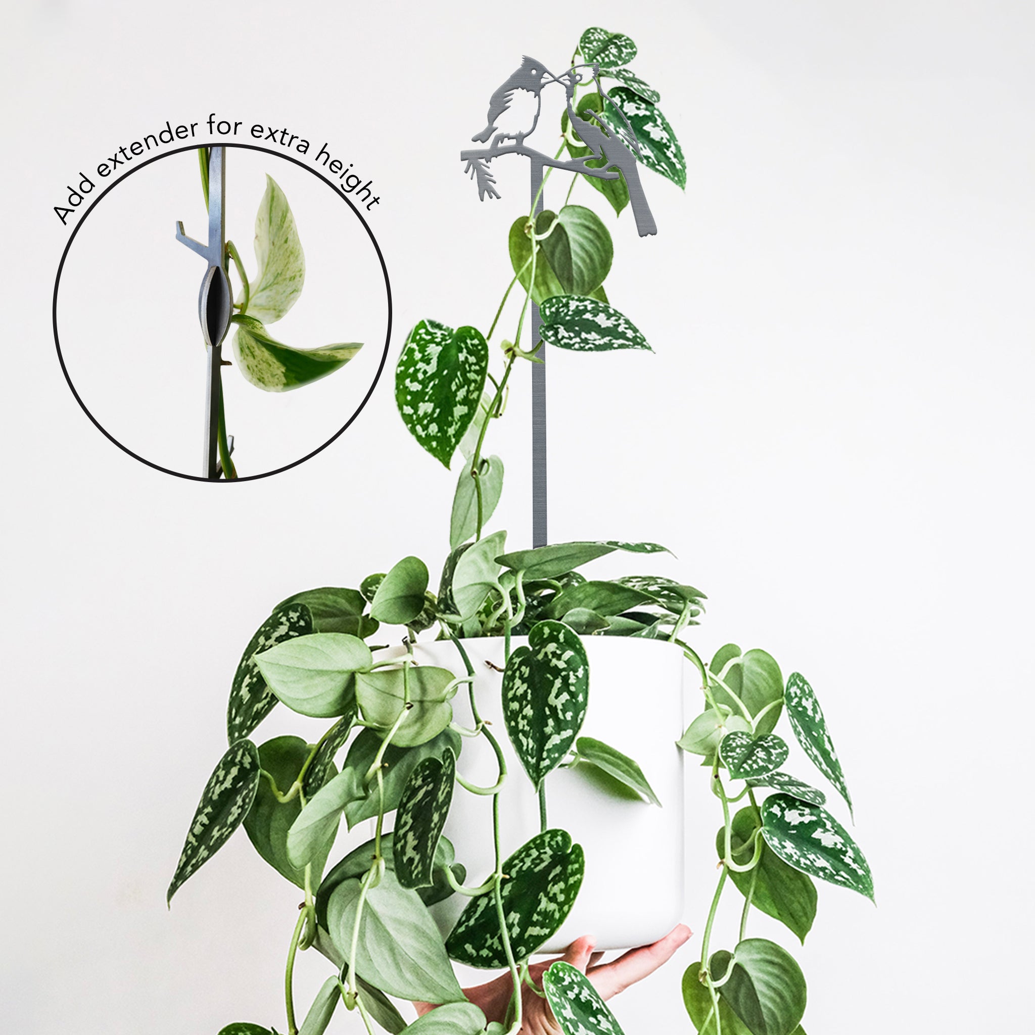 A hand holds a white pot with a trailing vining plant climbing the 25" Kissing Cardinals Plant Stake topped with bird silhouettes; an inset displays the optional extender attached for extra height.