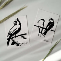 The Metalbird Greeting Card Set features two white cards with black bird silhouettes—one with a single bird on a branch, the other showing two birds on a wire. Surrounded by green plant stems, these cards make a thoughtful display or gift.
