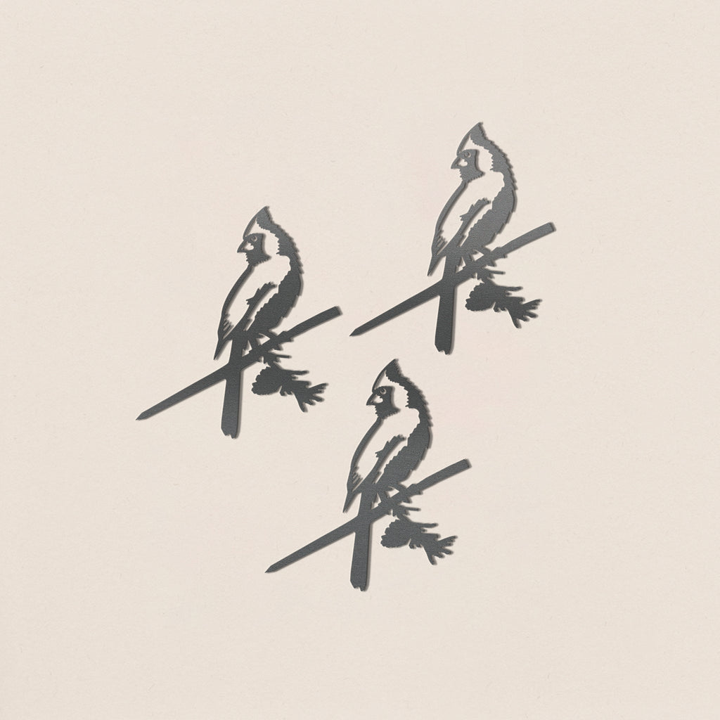 Baby Bird Bundle - Cardinal Trio