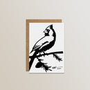 Metalbird Greeting Card Set