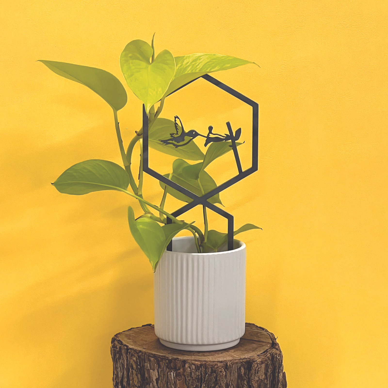 Hummingbird Plant Trellis