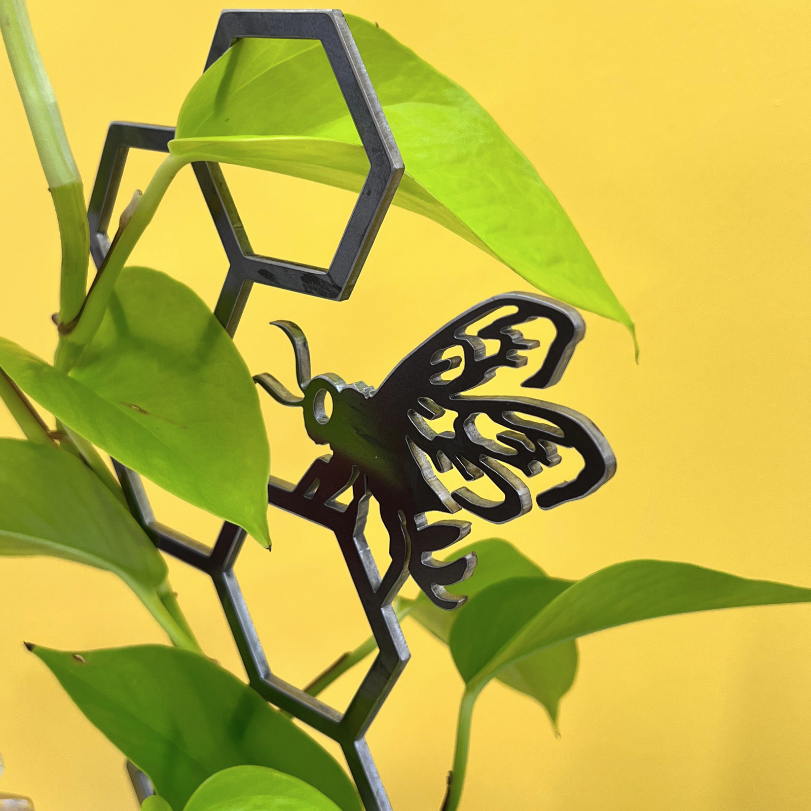 Honeybee Plant Trellis