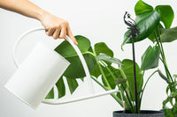 Cardinal Plant Stake - 40" - Metalbird USA