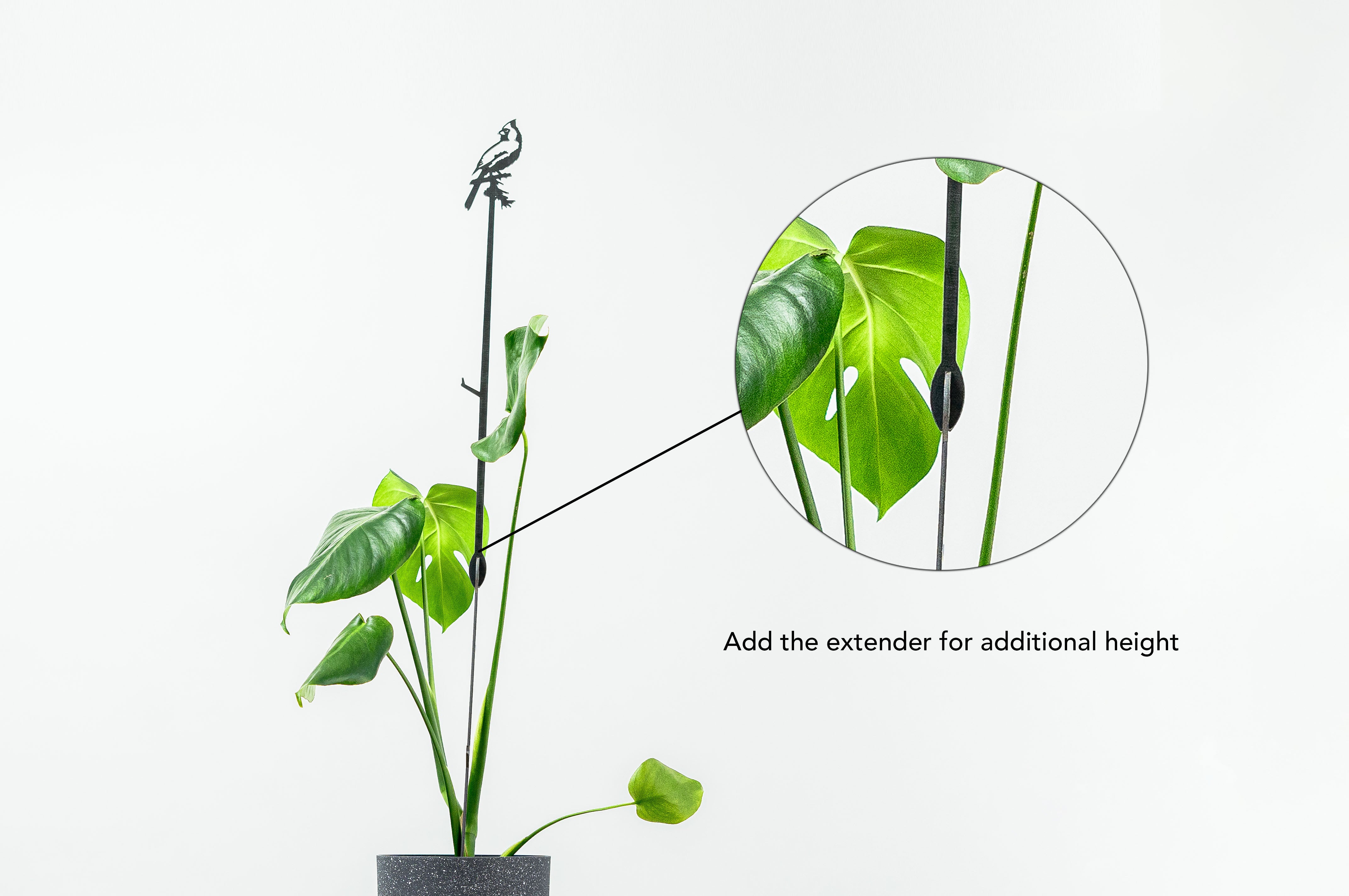 Cardinal Plant Stake - 40" - Metalbird USA