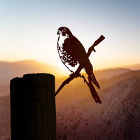 Peregrine Falcon - Metalbird USA