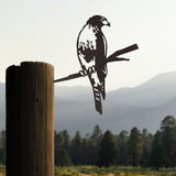 Red-Tailed Hawk - Metalbird USA