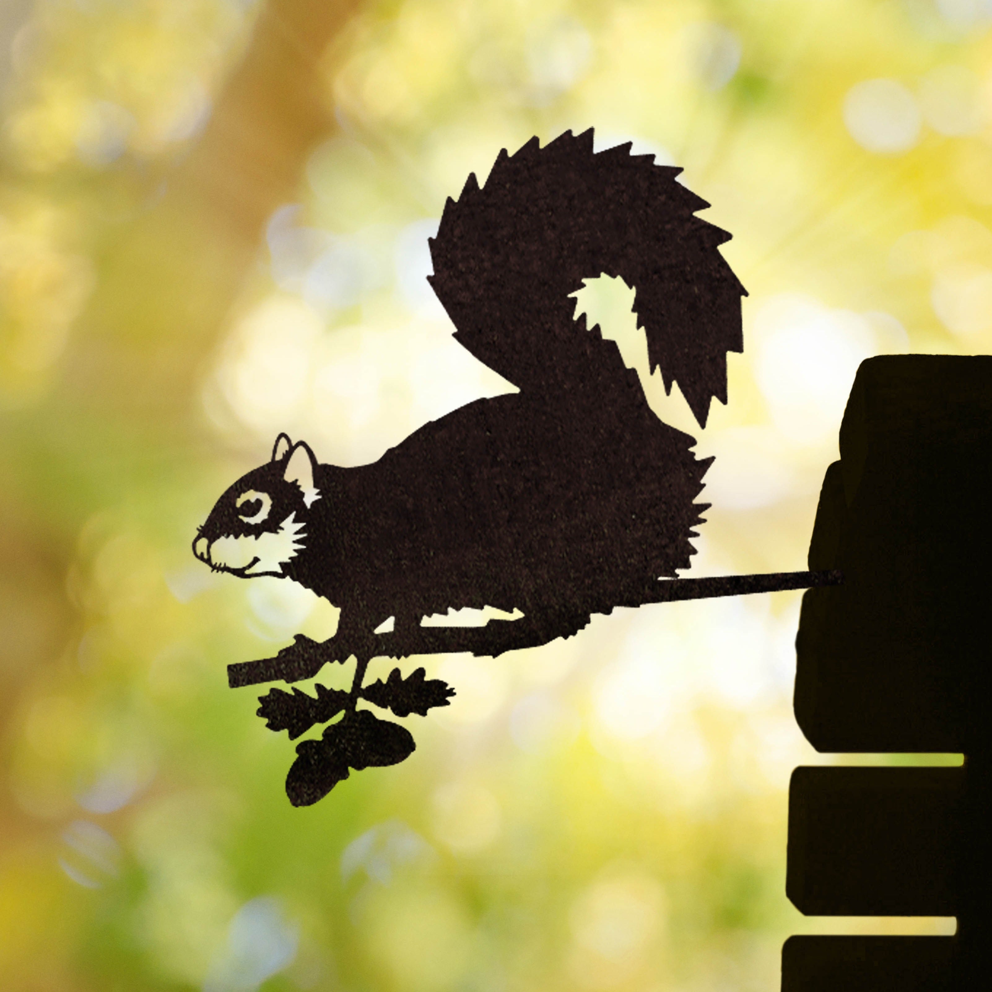 Eastern Gray Squirrel